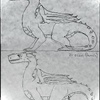 Dragon Genders (old)