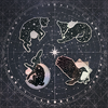 Star Mystics- Holo Stickers
