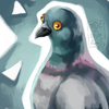 pigeon sketch