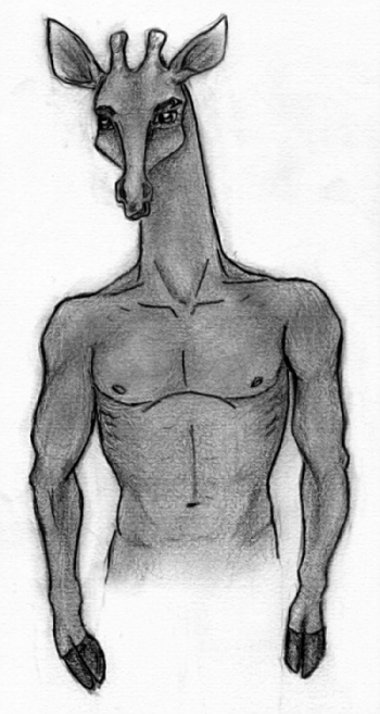 Hans / Body Study