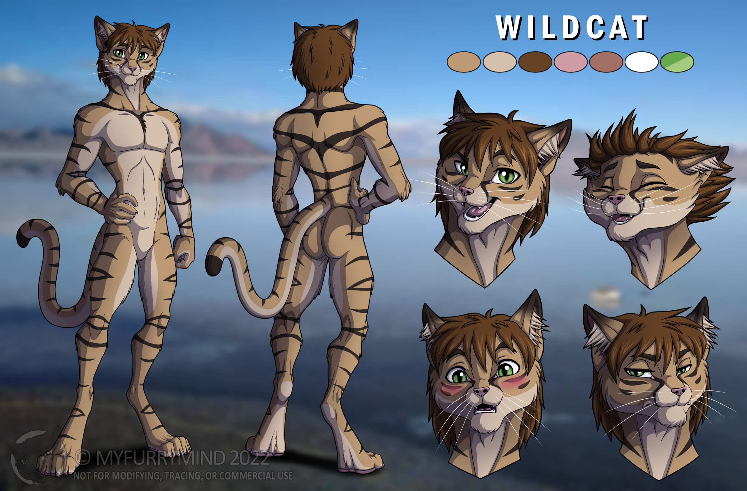 Comm: Wildcat Character Sheet for BordelonDaniel (SFW)