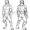 Artcrap: Old Front & Back Anthro Poses