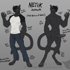 Netik's Design Sheet