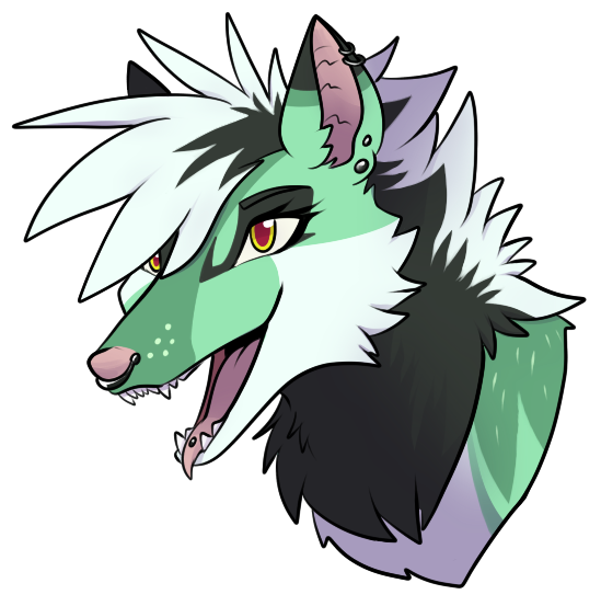 AF24: Lou Headshot