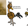 Poison  type  doduo