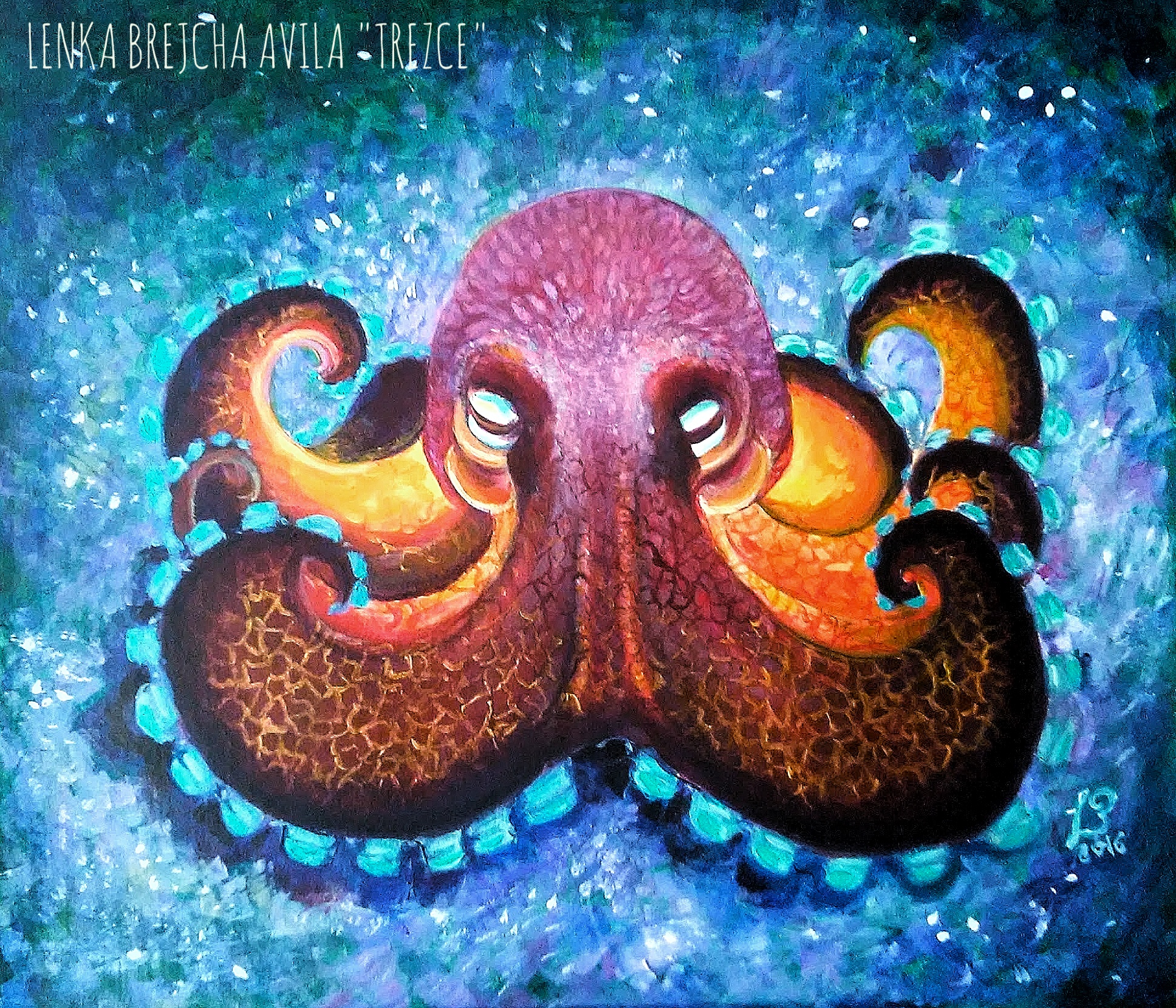 Octopus