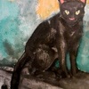 Black Cat Watercolor