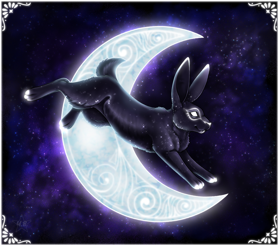 Black Rabbit of Inle