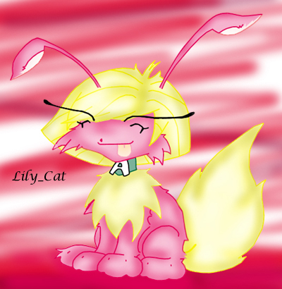 Lily Cat