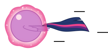 Twilight Sparkle Spin Dash