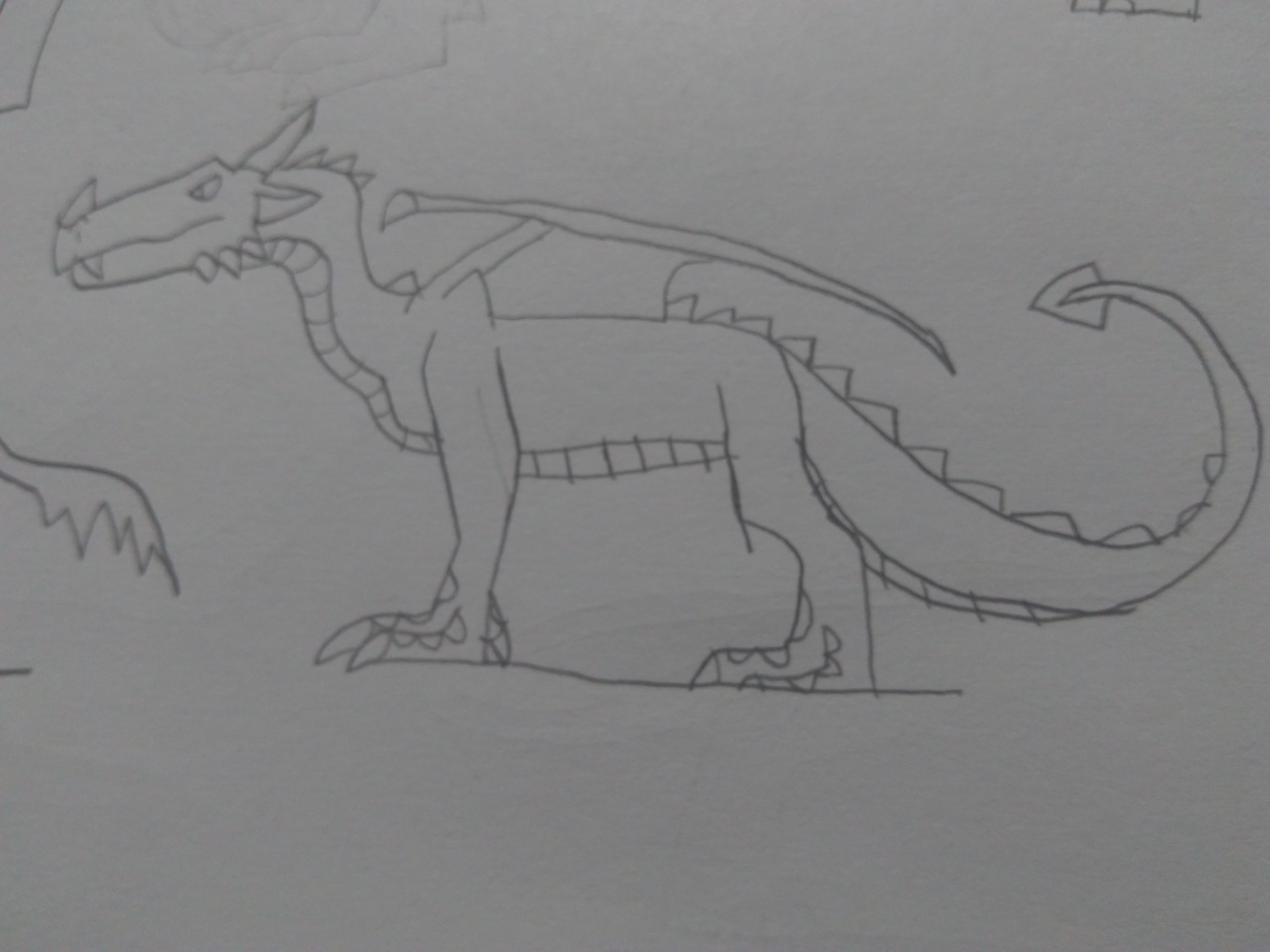 dragon sketch