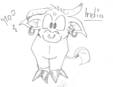 Lil cow named India!