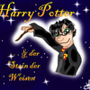 Lil' Harry Potter-cover