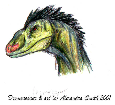Dromeaosaur
