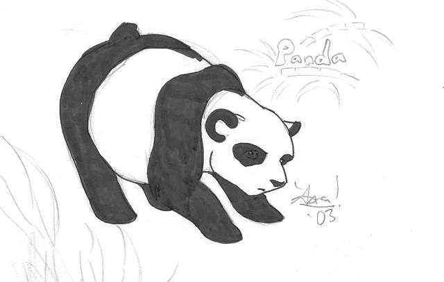 Panda nr1