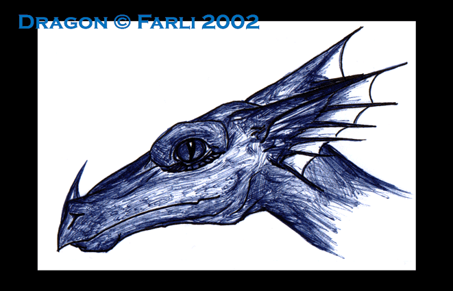 Dragon (Biro Sketch)