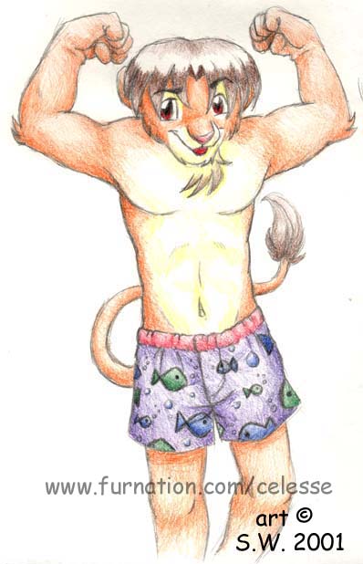 Kabu's Dorky Shorts