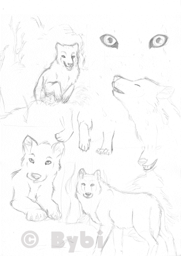 Wolfies!