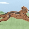 A random cheetah ^.^