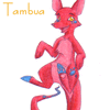 Tambua