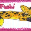 Fushi in markers!
