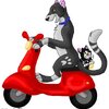 Vespa Kitty