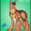 Dexter the Dog