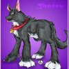 Furry Version of Shadow