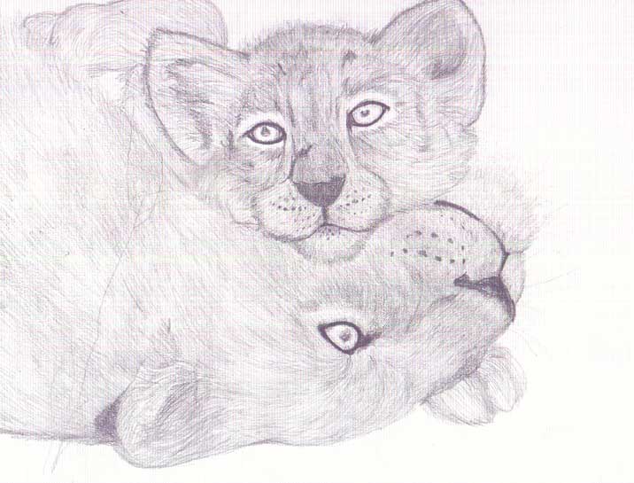 Lion Cub and Mum