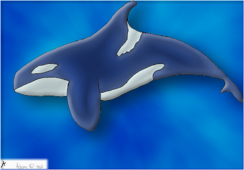 Orca