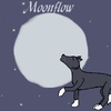 better pic of moonflow