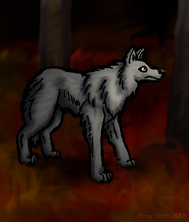 My Wolf on WH