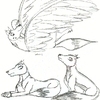 Mah lil Woofie Group! ((Lexus, Spike, and O Course, BALTO! ^^))
