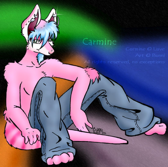 Carmine for Luve