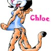 Chloe the Leopard
