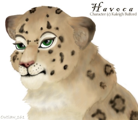 HavocaV1