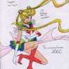 Super Sailor Moon Determined