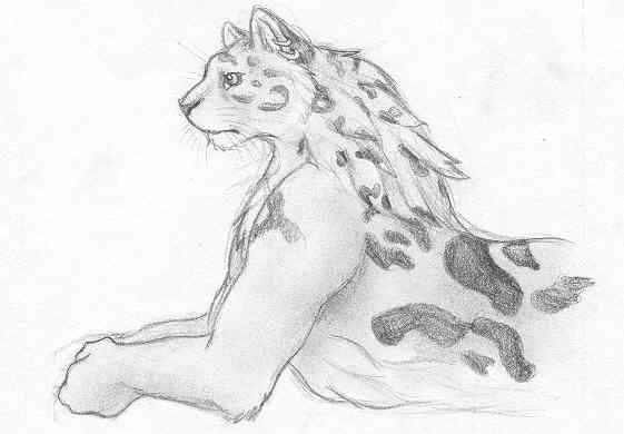 Snow Leopardess