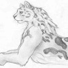 Snow Leopardess