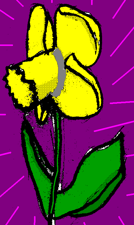 Daff