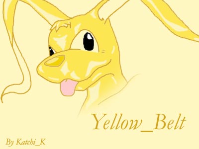 Yellow_Belt