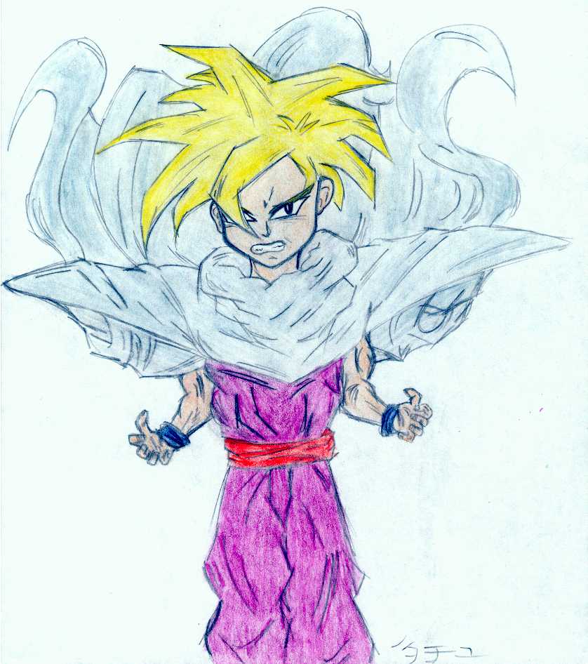 gohan.