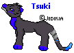 Tsuki Pic