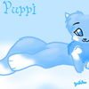 Puppi