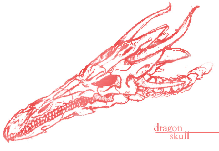 dragon's skull