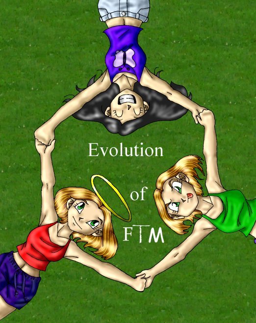 Evolution of FTM 2