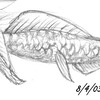 Pencil Sketch Mermaid #1