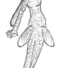 Pencil Sketch Mermaid #2