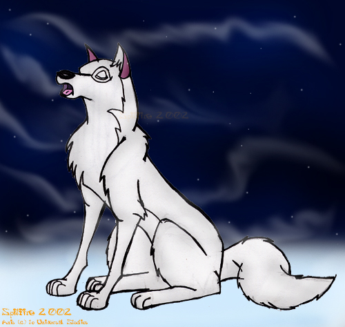 Aniu - The White Wolf