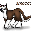 Sirocco the Wolf/Husky